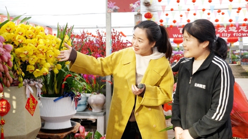 博天堂游戏(官网)济南2024年宵花睁开幕全市12处分会场选你所爱_今日头条_民众网