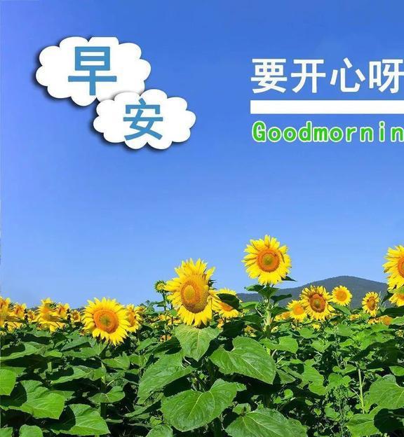 博天堂用户注册名《日月长情喜乐继续！今日头条带你探索生计中的小确幸